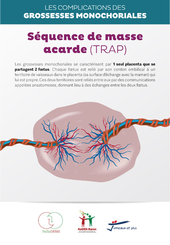 Séquence de masse acarde (TRAP)